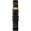 Timex Women's Metropolitan TW2R36400 model